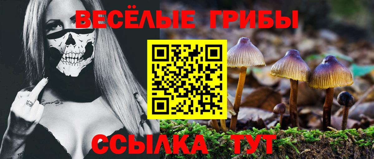 Псилоцибиновые грибы мухоморы Новоалтайск